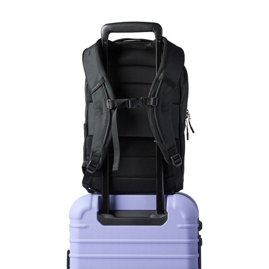 Cotopaxi Allpa 18L Daypack - Hill and Dale Outdoors