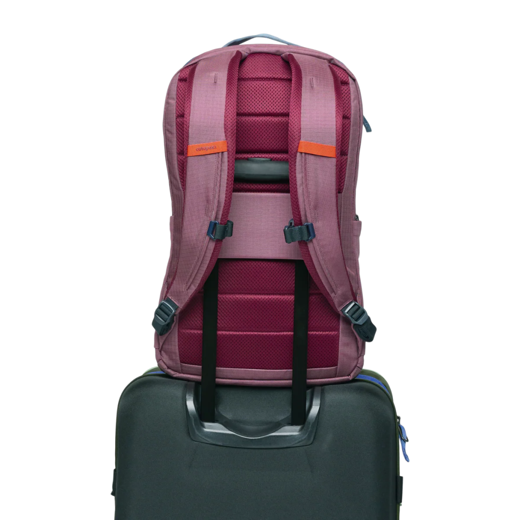 Cotopaxi Allpa 26L Daypack - Hill and Dale Outdoors