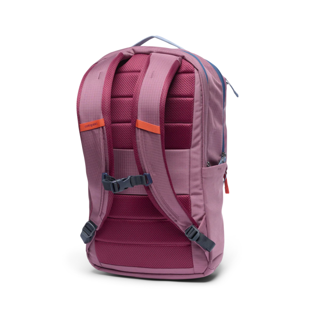 Cotopaxi Allpa 26L Daypack - Hill and Dale Outdoors