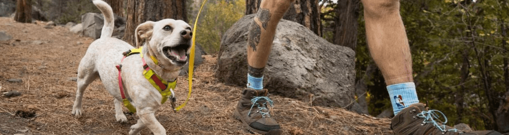 Dog Harnesses - Hill and Dale Outdoors