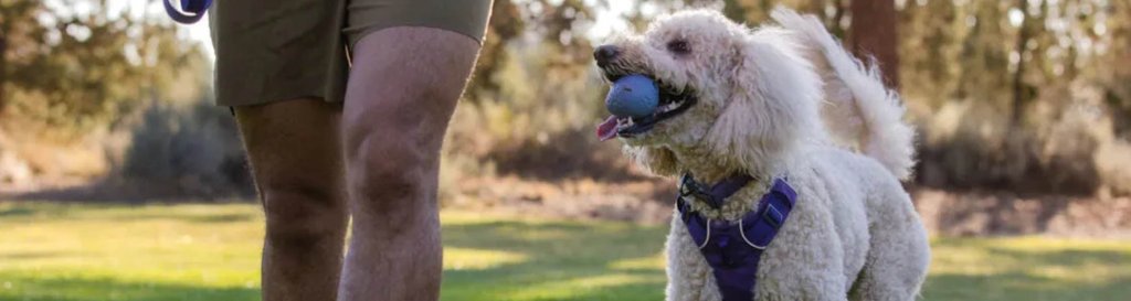 Pet - Hill and Dale Outdoors