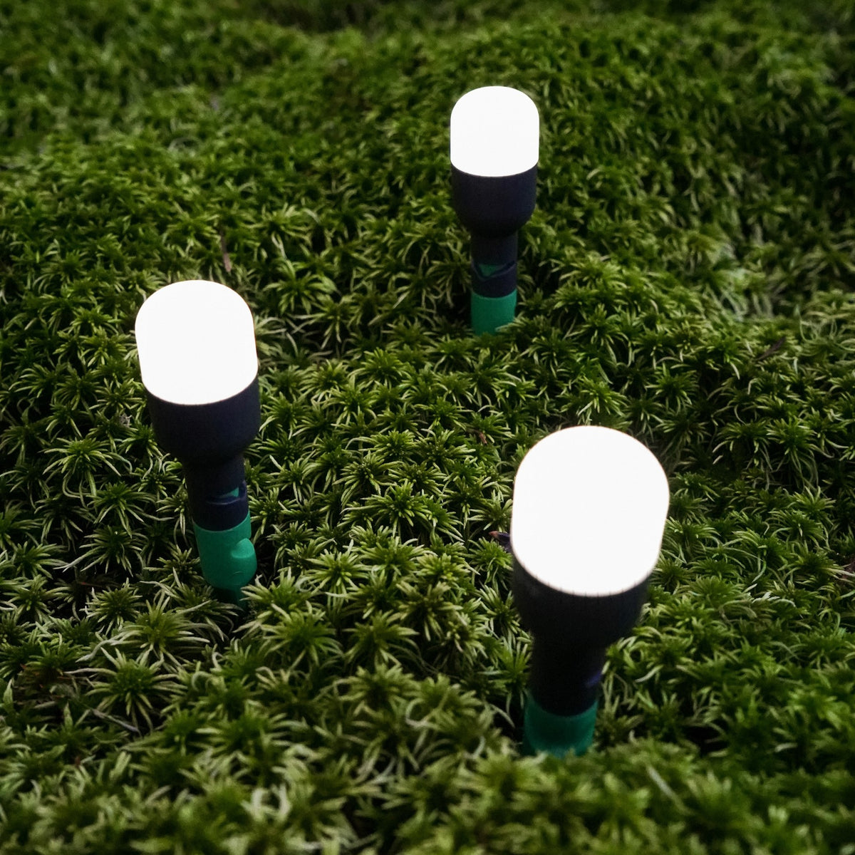 Luci Solar Site Lights