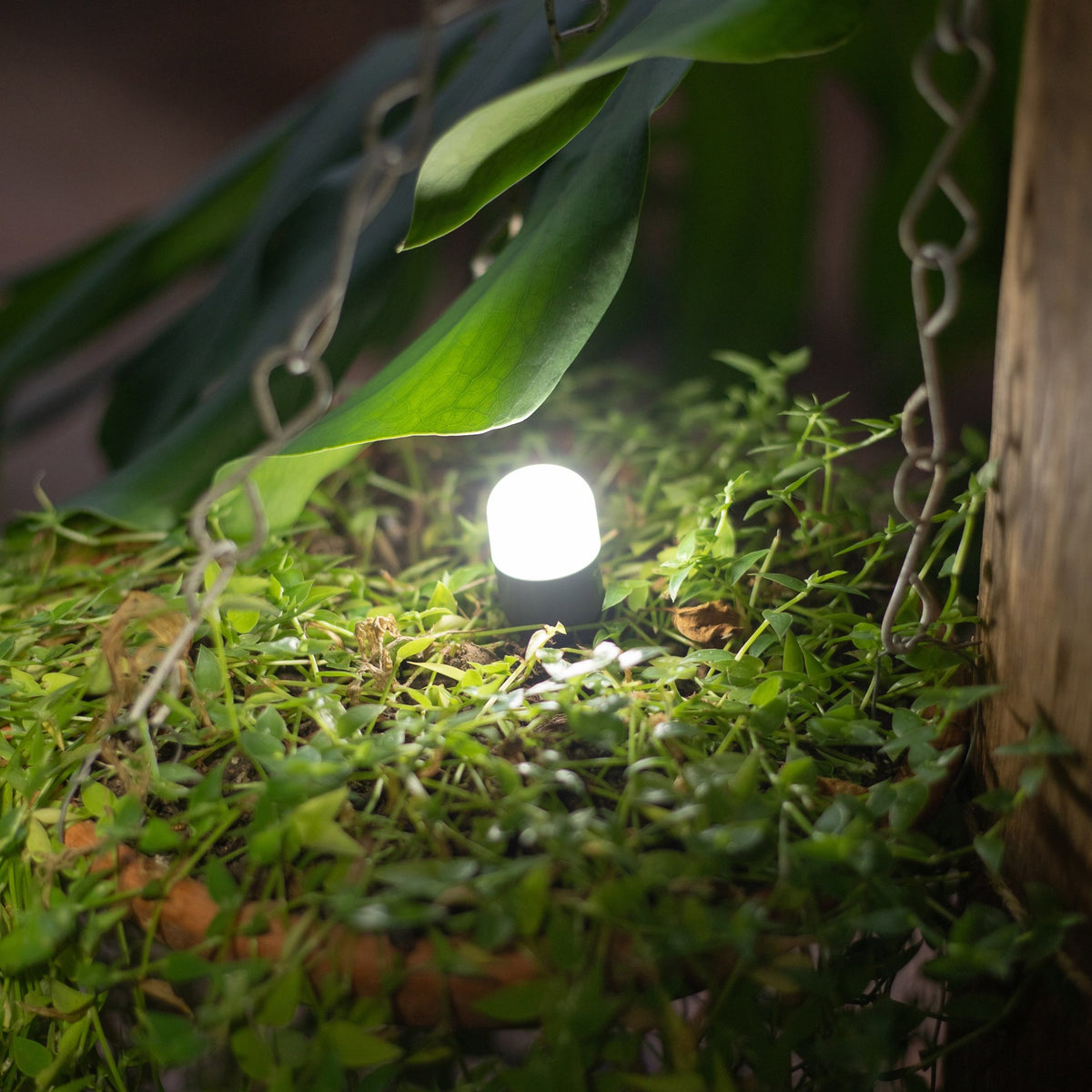 Luci Solar Site Lights