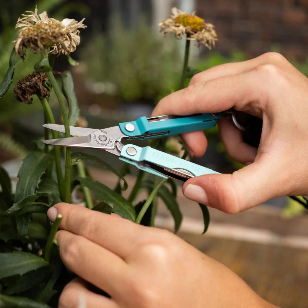 Leatherman Micra Multi Tool - Hill and Dale Outdoors