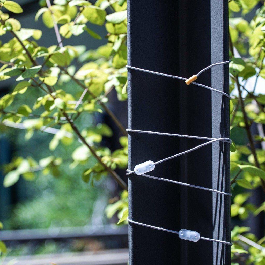 Luci Color Solar String Lights + USB Battery Bank - Hill and Dale Outdoors